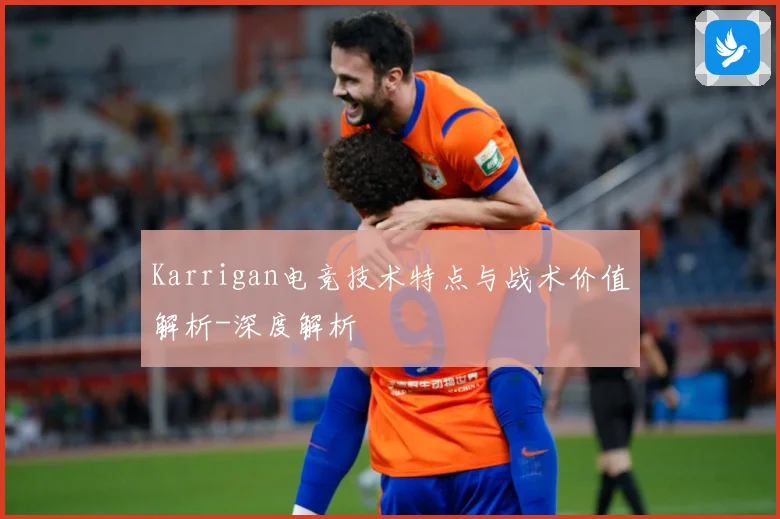 Karrigan电竞技术特点与战术价值解析-深度解析