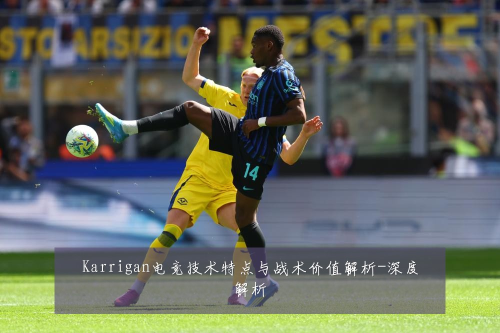 Karrigan电竞技术特点与战术价值解析-深度解析